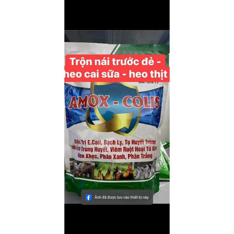 Thuốc kháng sinh ( Amox-colis dùng để phòng cho heo nái trước và sau đẻ,  trộn phòng cho heo con trư