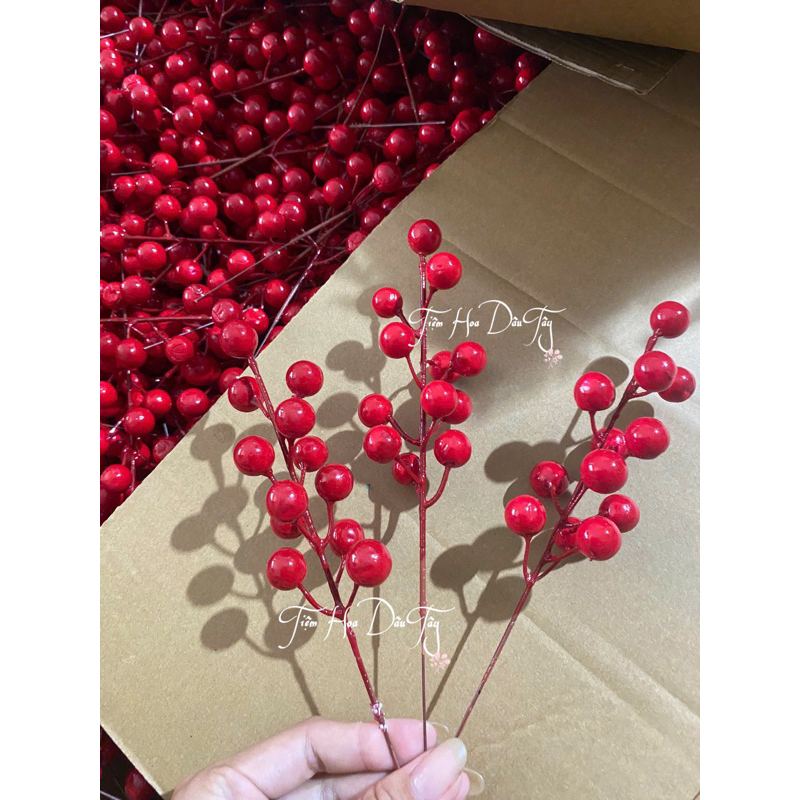 [SẴN HCM] ĐÀO ĐÔNG CHÙM ( chùm dài 12 QUẢ)