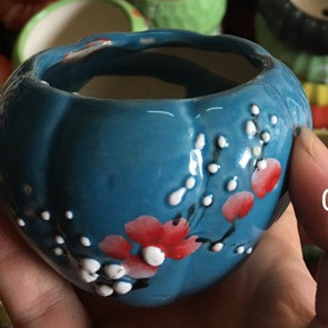 Chậu decor trồng cây mini