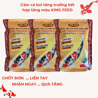 Cám cá koi thức ăn cá koi KING FEED 2 trong 1 tăng trưởng và tăng màu 01