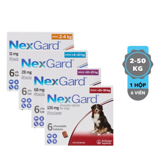 NexGard - Viên Nhai Phòng và Trị Ve Rận Bọ Chét Ghẻ Demodex trên Chó