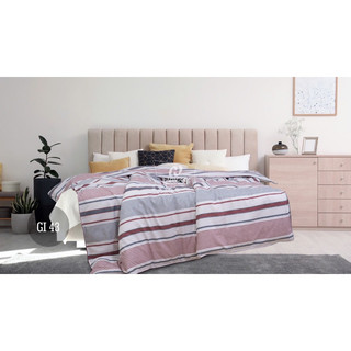 CHĂN ĐÔNG HANVICO GOLDEN DREAM ( VỎ+ RUỘT) KÍCH THƯỚC 200 X 220 CM