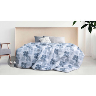 CHĂN ĐÔNG HANVICO GOLDEN DREAM ( VỎ+ RUỘT) KÍCH THƯỚC 200 X 220 CM