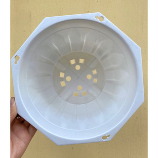 5  cái chậu trồng cây có dây treo