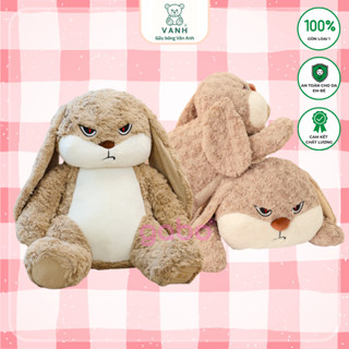 Gấu Bông Thỏ Mặt Quạo, Thỏ Hung Hăng Mặt Giận Dữ Đáng Yêu, Quà Tặng Người Yêu Hay Dỗi