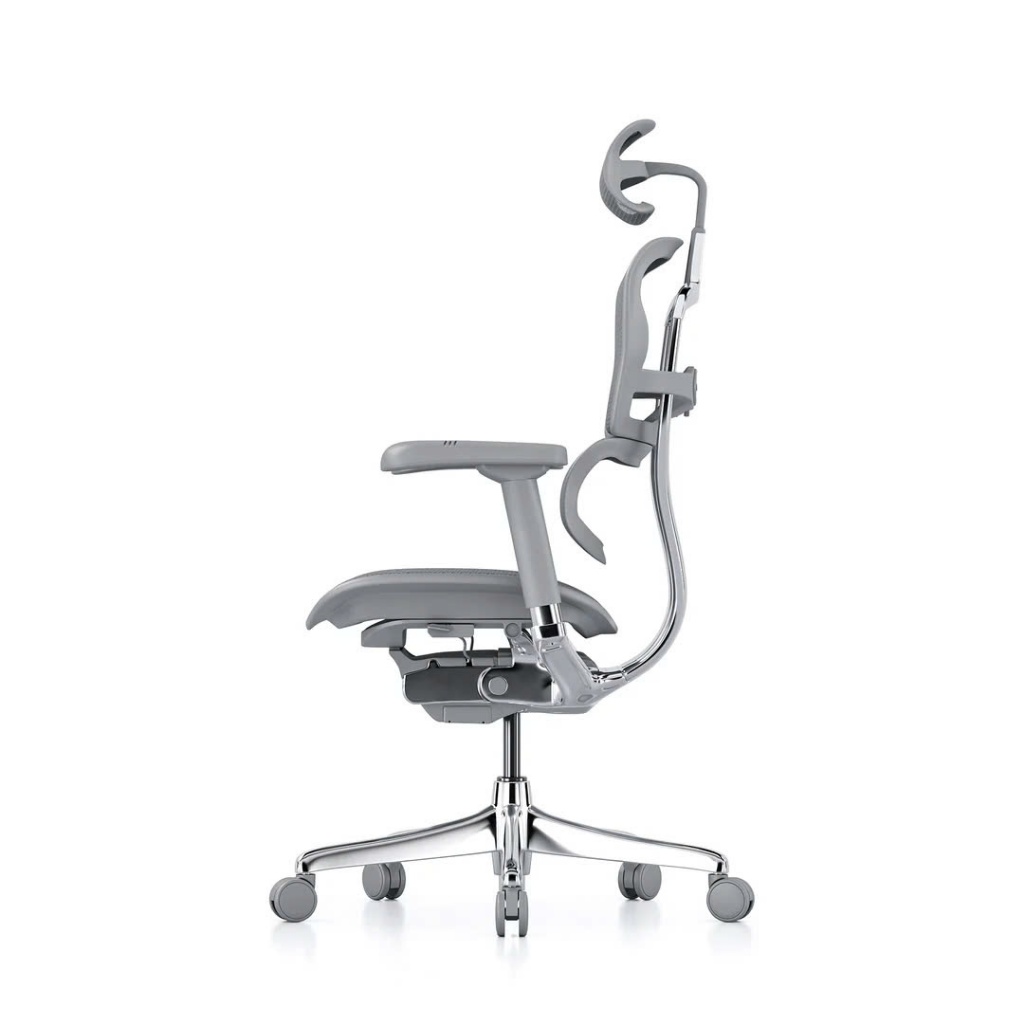 Hỏa Tốc - Ghế Công thái Học Cao Cấp Ergohuman Ultra Và Elite 2 Chính Hãng Bảo Hành 5 Năm | BigBuy360 - bigbuy360.vn