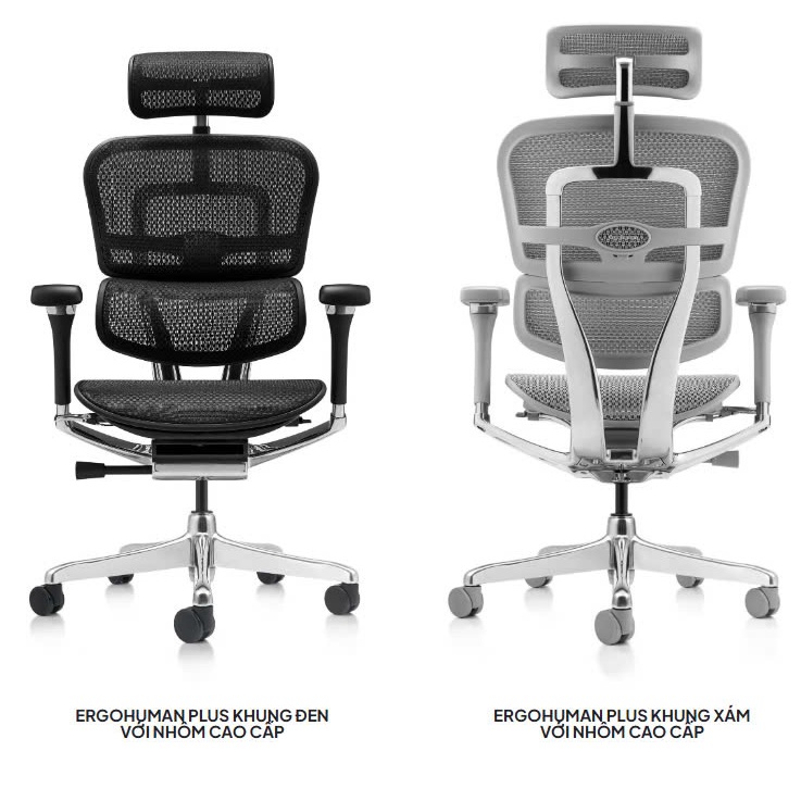Hỏa Tốc - Ghế Công thái Học Cao Cấp Ergohuman Ultra Và Elite 2 Chính Hãng Bảo Hành 5 Năm | BigBuy360 - bigbuy360.vn