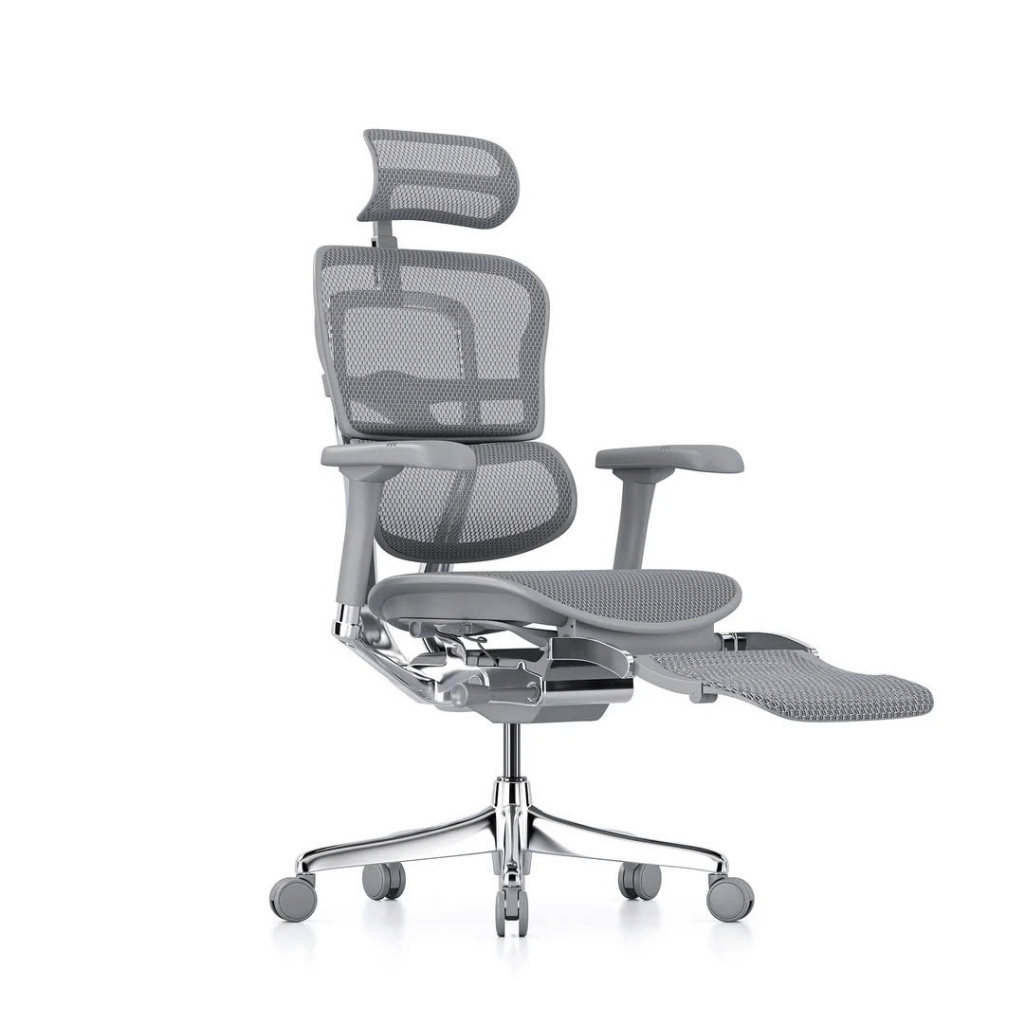 Hỏa Tốc - Ghế Công thái Học Cao Cấp Ergohuman Ultra Và Elite 2 Chính Hãng Bảo Hành 5 Năm | BigBuy360 - bigbuy360.vn
