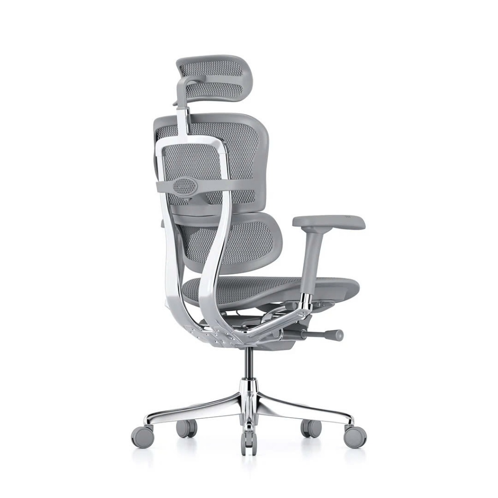 Hỏa Tốc - Ghế Công thái Học Cao Cấp Ergohuman Ultra Và Elite 2 Chính Hãng Bảo Hành 5 Năm | BigBuy360 - bigbuy360.vn