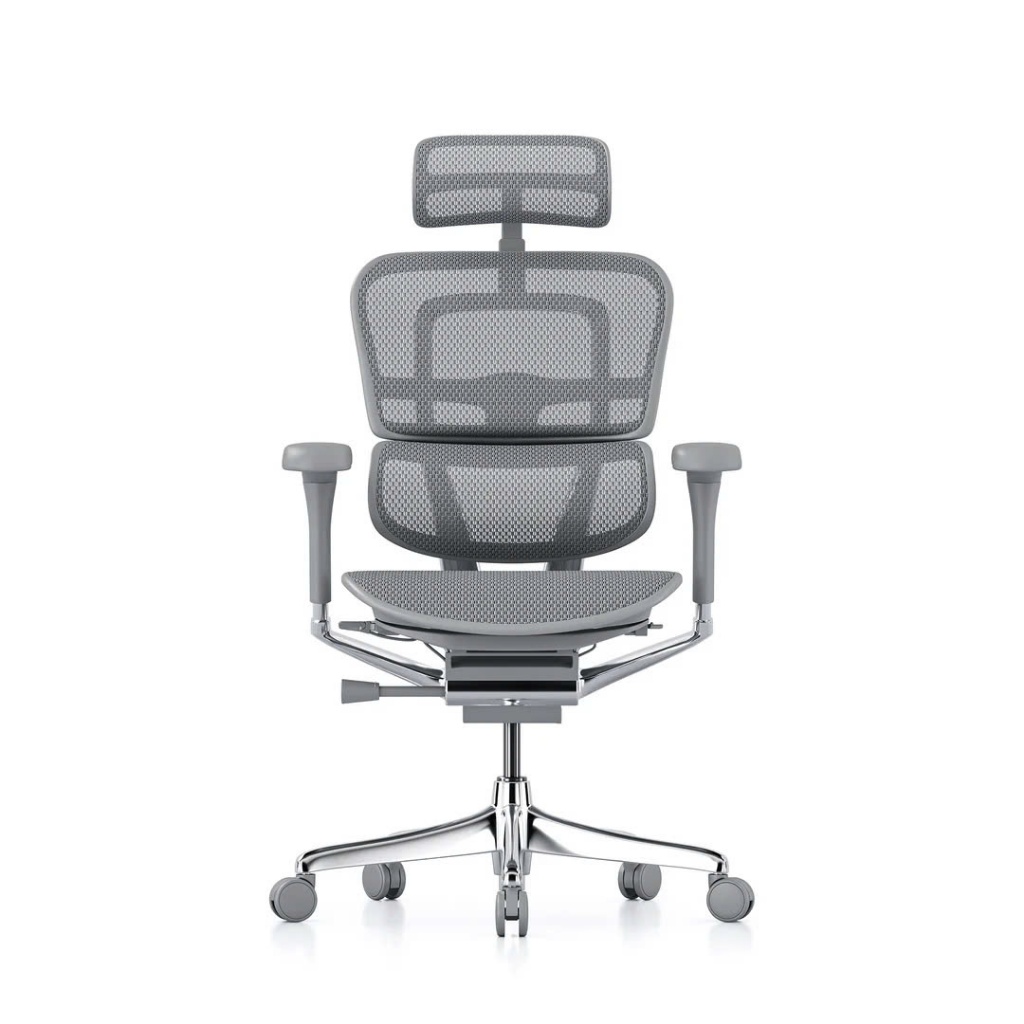 Hỏa Tốc - Ghế Công thái Học Cao Cấp Ergohuman Ultra Và Elite 2 Chính Hãng Bảo Hành 5 Năm | BigBuy360 - bigbuy360.vn