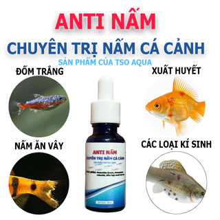 Anti Nấm Sản phẩm xử lý nấm cá cảnh, cá thủy sinh, cá săn mồi - Chính hãng TSO Aqua