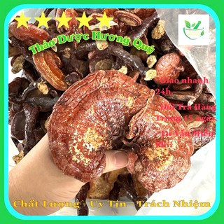 500g Nấm Linh Chi Đỏ Chuẩn Loại 1