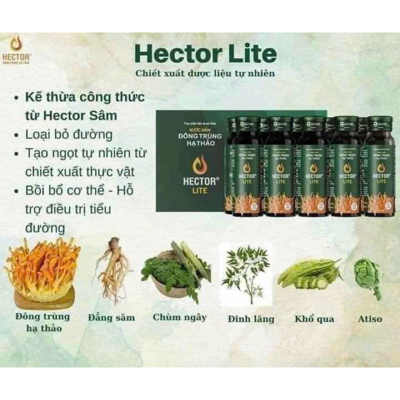 Nước Nấm Đông Trùng Hạ Thảo Hector Lite (Hộp 10 chai)