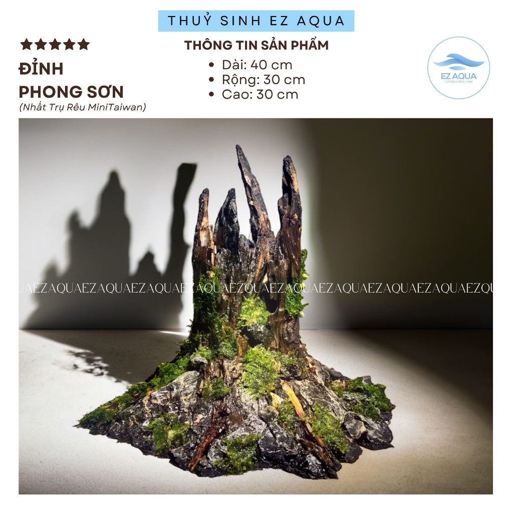 Layout nhất trụ rêu minitaiwan trang trí hồ cá thuỷ sinh nhỏ gọn phù hợp hồ cá 30 40cm