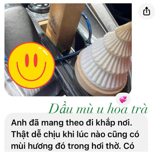Dầu Mù U Hoa Trà Massage - Thuần Túc