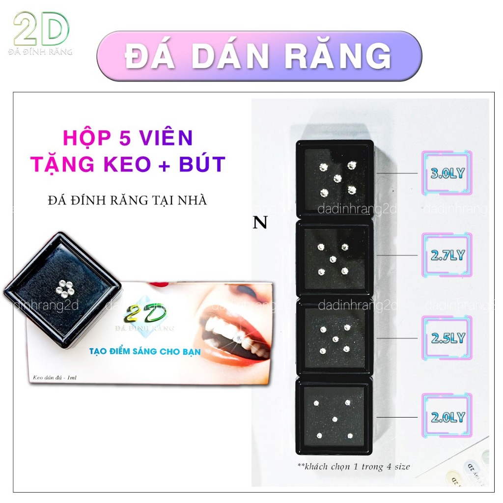 Combo 5 Viên Đá Đính Răng Kèm Keo Bút (Đính Tại Nhà)