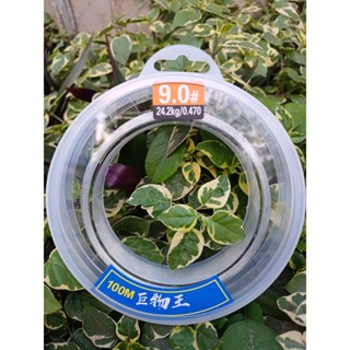 dây cước câu cá momota siêu dai, chiều dài 100m chuyên dùng buộc link và làm trục