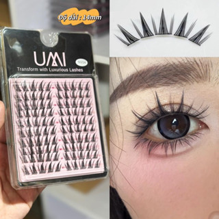 NV04 Lông mi douyin lông mi cụm 10 hàng Nhivie NV04