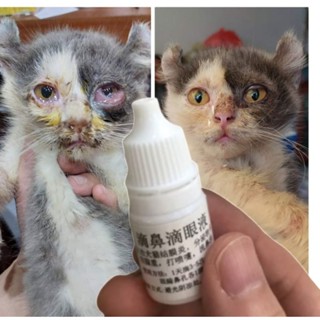 nhỏ mắt, nhỏ mũi cho chó mèo thần thánh, sưng mí chảy nước mắt, hắt hơi sổ mũi, ra gèn mắt