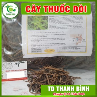 Cây Thuốc Dòi Khô 1Kg _ Hàng Loại 1