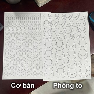 [Hoa cuốn chỉ - 17] giấy cứng làm triền hoa