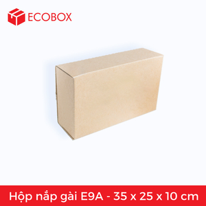 E9A - 35x25x10 cm - Hộp carton nắp gài (25 hộp)