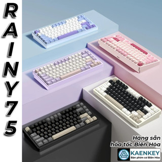 Rainy 75: 3 mode full nhôm hotswap HMX Ziwei plate Kailh Snow coca PP/FR4 bàn phím cơ  không dây RGB  keycap pbt Kaenkey