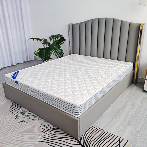 NỆM CAO SU MEMORYFOAM ĐÔNG Á CAO CẤP