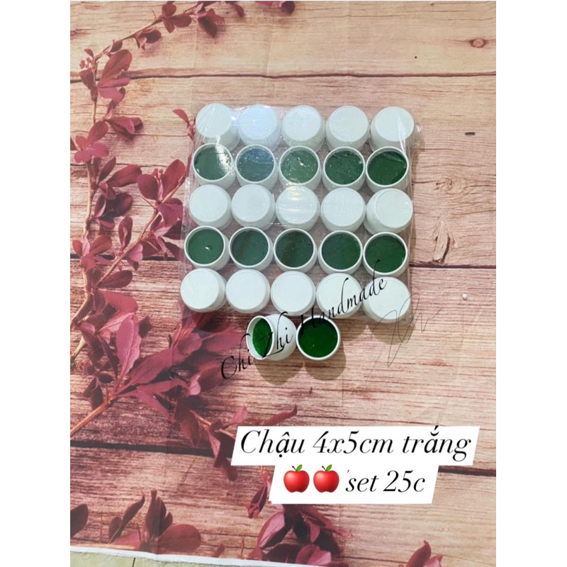Set 25c chậu hoa mini siêu rẻ