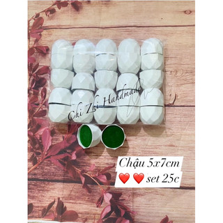 Set 25c chậu hoa mini siêu rẻ
