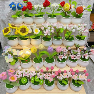Set 25c chậu hoa mini siêu rẻ