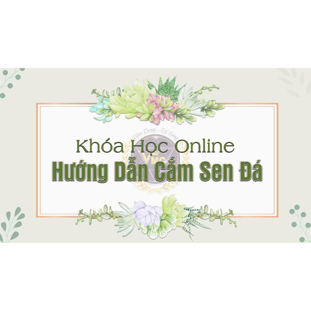 Khóa học Hướng dẫn cắm sen đá - Khóa học online VMC