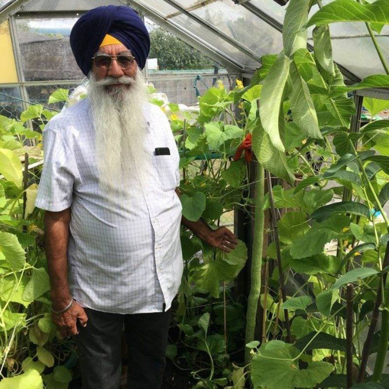 100GR 2500.HẠT Hạt Giống Dưa Chuột Rắn Mỹ (| C6*X53)