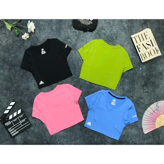 Áo Croptop Nữ Cổ Tim Tay Ngắn Cho Nữ Tập Thể Thao Gym Yoga