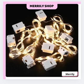 Đèn led trang trí dài 1m