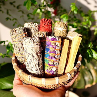 Xô Thơm Thanh Tẩy, WHITESAGE, Xô Thơm Xông nhà, Thu Hút Tài Lộc