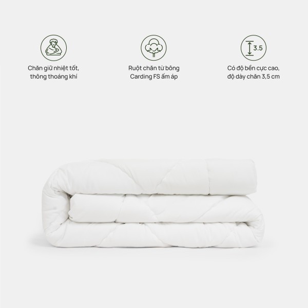 Ruột chăn truyền thống Original Low Everon (Dày 3.5cm) siêu ấm, nhiều kích thước (OL) | BigBuy360 - bigbuy360.vn