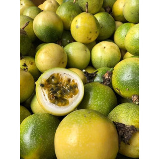 CHANH LEO VÀNG NGỌT HƯƠNG ỔI 💥💥 [1Kg]