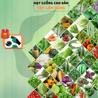 Hạt giống rau củ các loại dễ trồng mùa vụ quanh năm năng suất khánh bệnh tốt
