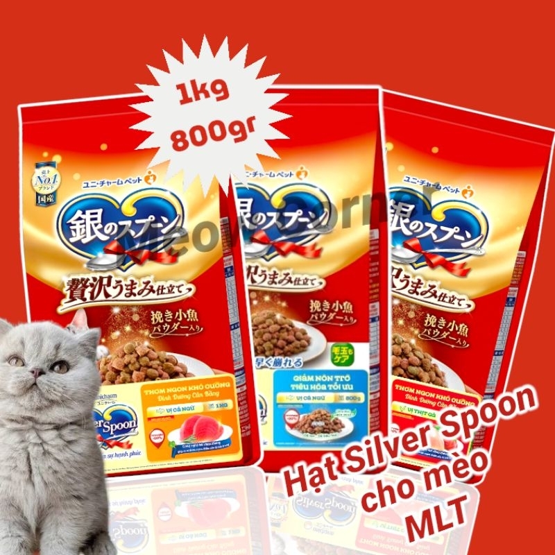 Hạt Silver Spoon cho mèo mọi lứa tuổi