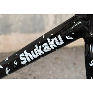 (Video thật - Chính hãng) Khung xe đạp Fixed Gear PIZZ SHUKAKU R1 càng nhôm