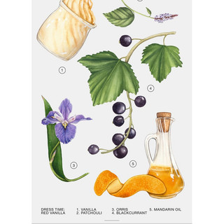 Nước hoa nữ Zara Red Vanilla 100ml