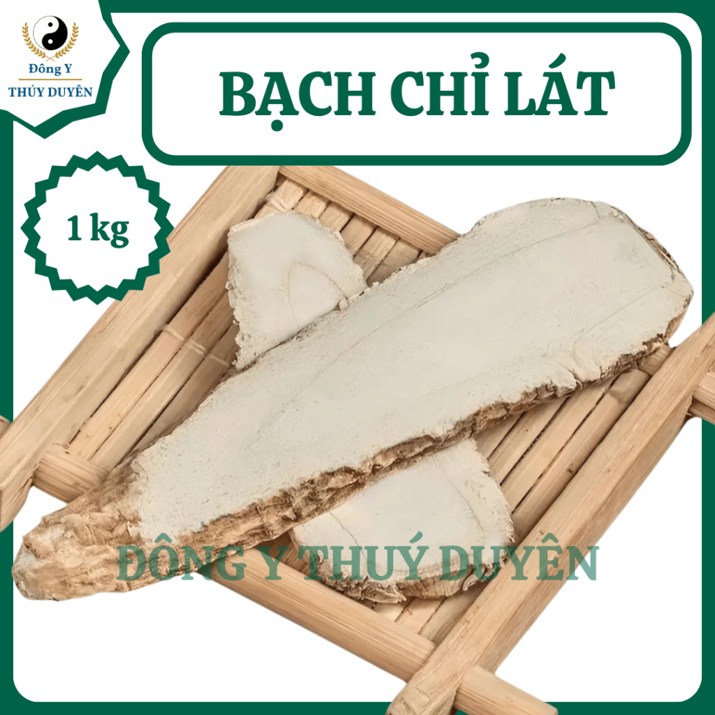 Bạch Chỉ Thái Lát 1kg (Hàng chất lượng loại 1)