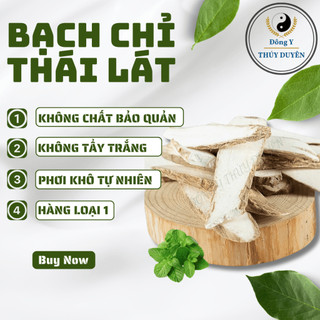 Bạch Chỉ Thái Lát 1kg (Hàng chất lượng loại 1)