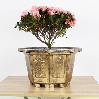 CHẬU BÁT GIÁC GIẢ ĐỒNG SIZE VỪA & NHỎ. DÙNG ĐỂ TRỒNG CÂY CẢNH, SÚNG, SEN, NUÔI CÁ