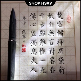 Bút Gel ODEMEI Ngòi 0.7mm 1mm Luyện viết tiếng Trung Hàn Nhật - Shop HSK9