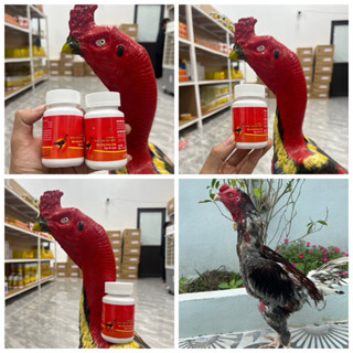 Tẩy Giun Sán Dùng Cho Gà Chọi Ưu Việt New 60 viên
