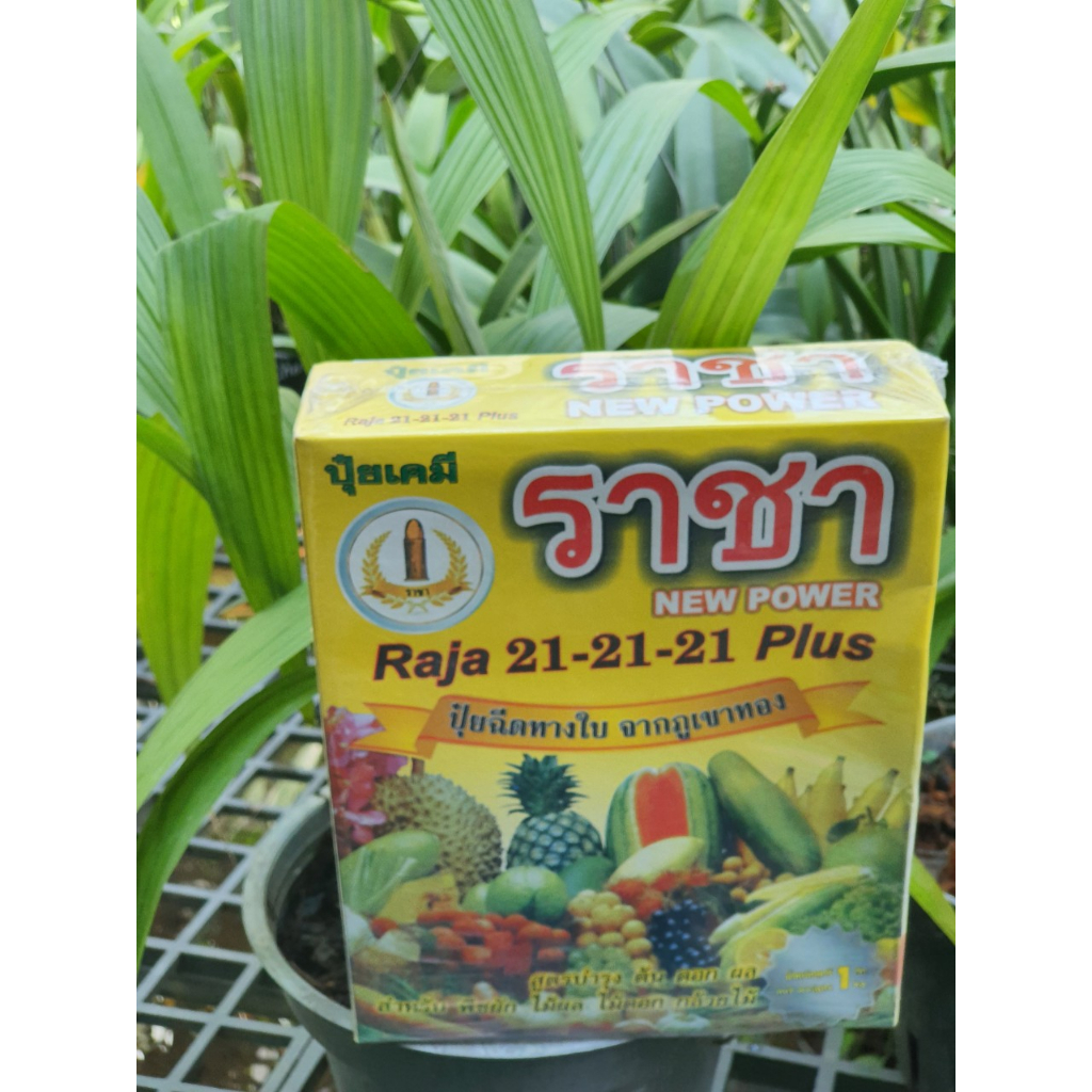 Phân bón lá NPK Thái Lan Raja 21-21-21 PLUS (Thái Lan 1kg - 500g tách chiết )