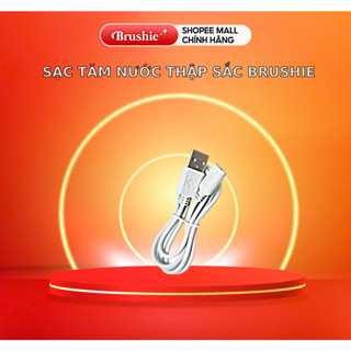   Phụ kiện Tăm nước thập sắc Brushie  Sạc tăm nước thập sắc Brushie 