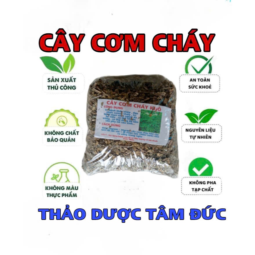 1kg cây cơm cháy sấy khô hữu cơ